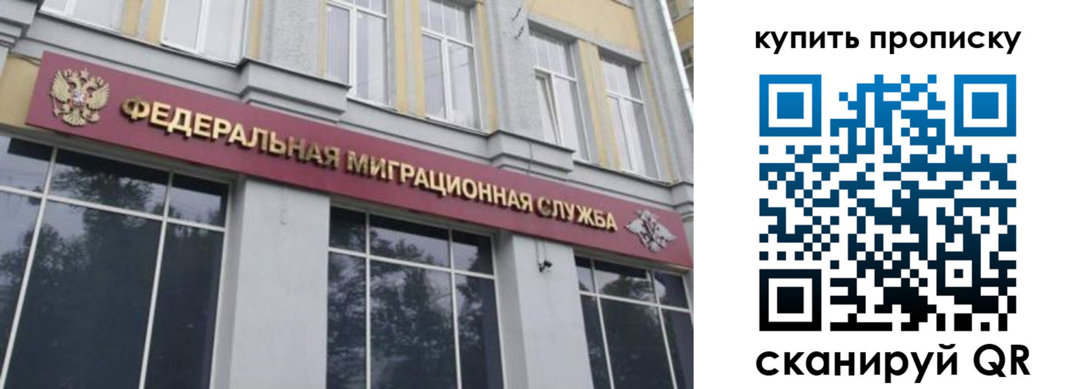 прописка поиск в Липецкая области
